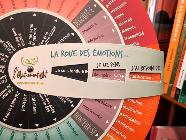 Roue Des motions Version Adulte 30cm L Autrement Dit Grandeur Nature Roue Des motions Version Adulte 30cm L Autrement Dit Grandeur Nature