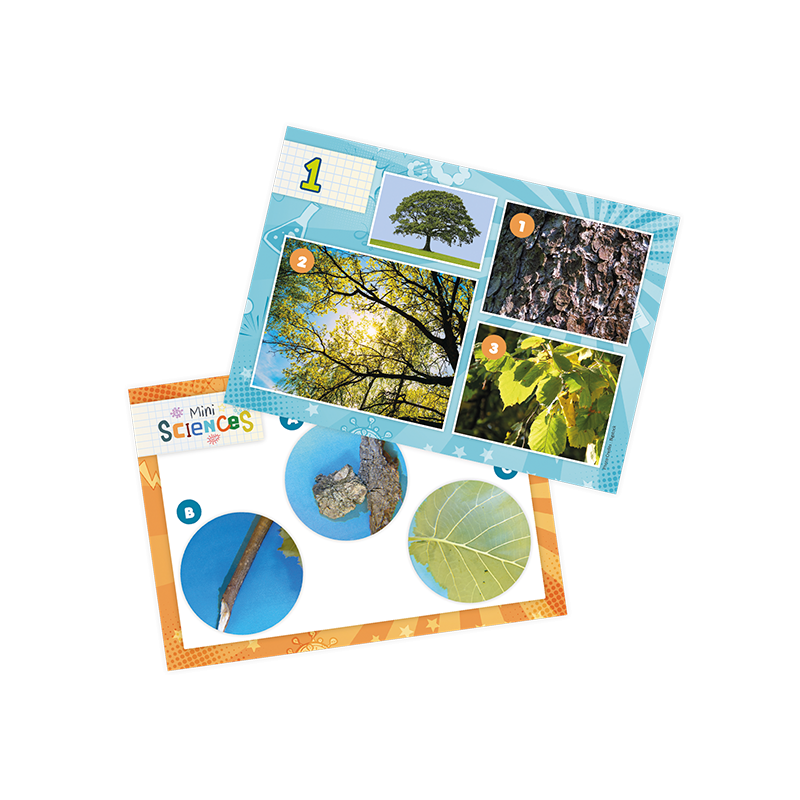 Mini Sciences Microscope / Buki – Image 3