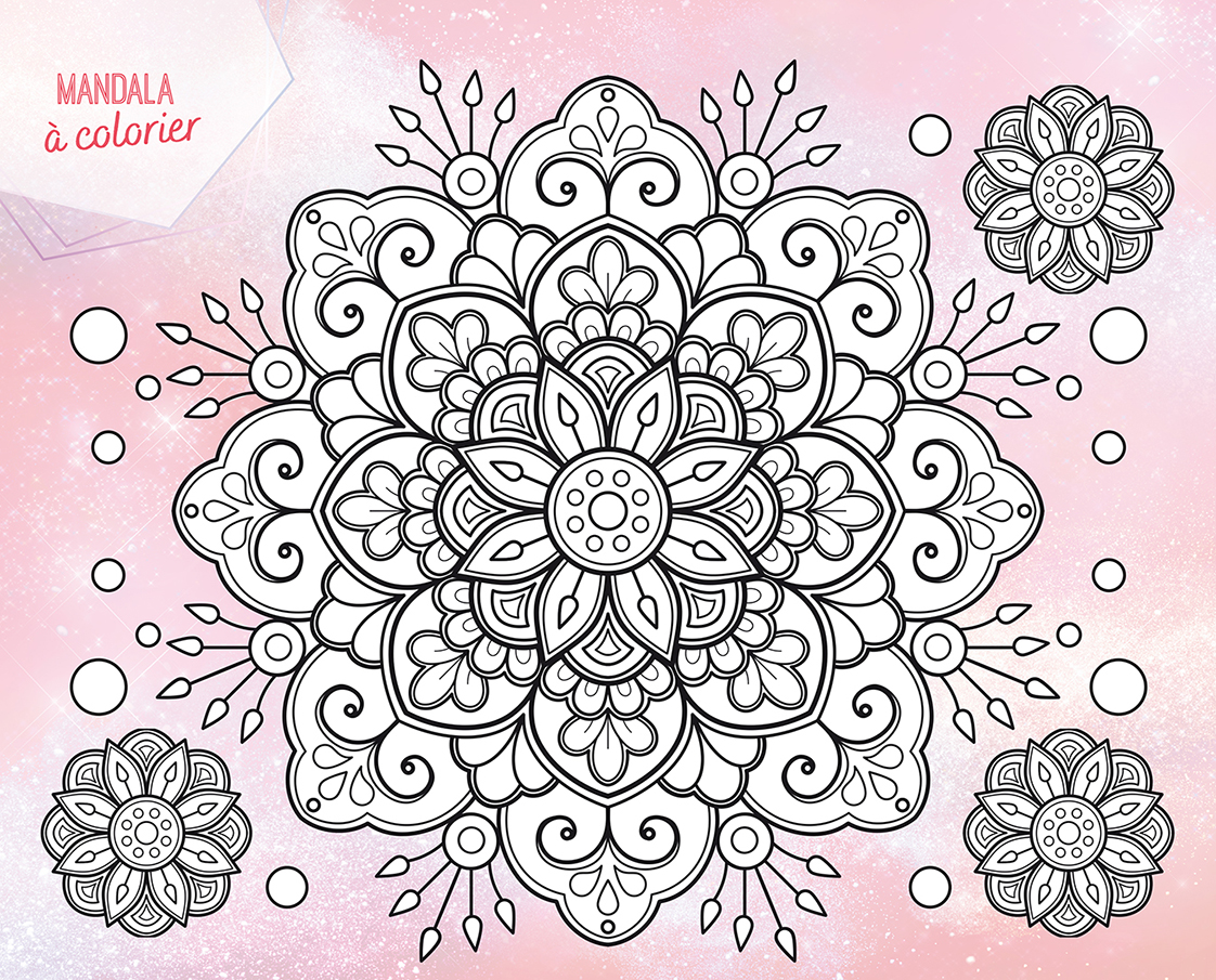 Licornes de rêve / PlayBac – Image 5