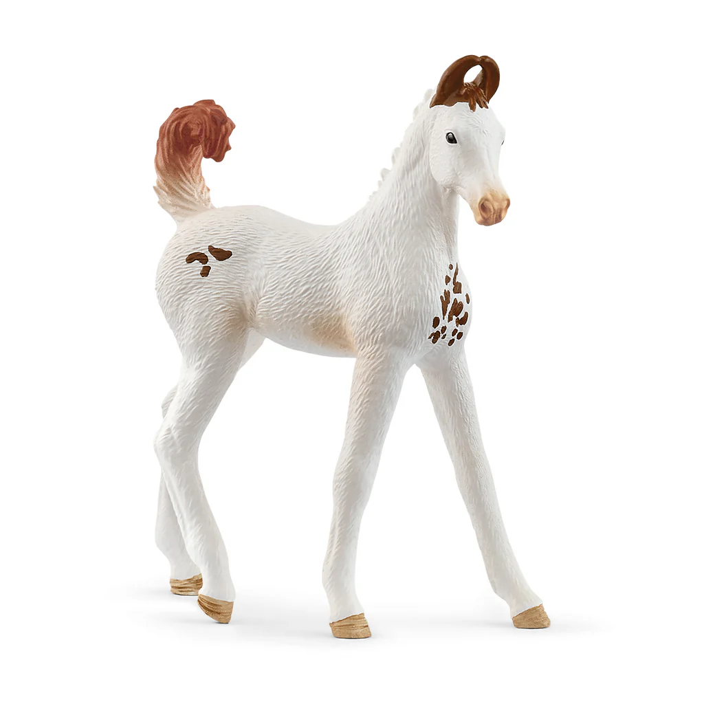 Poulain Marwari / Schleich