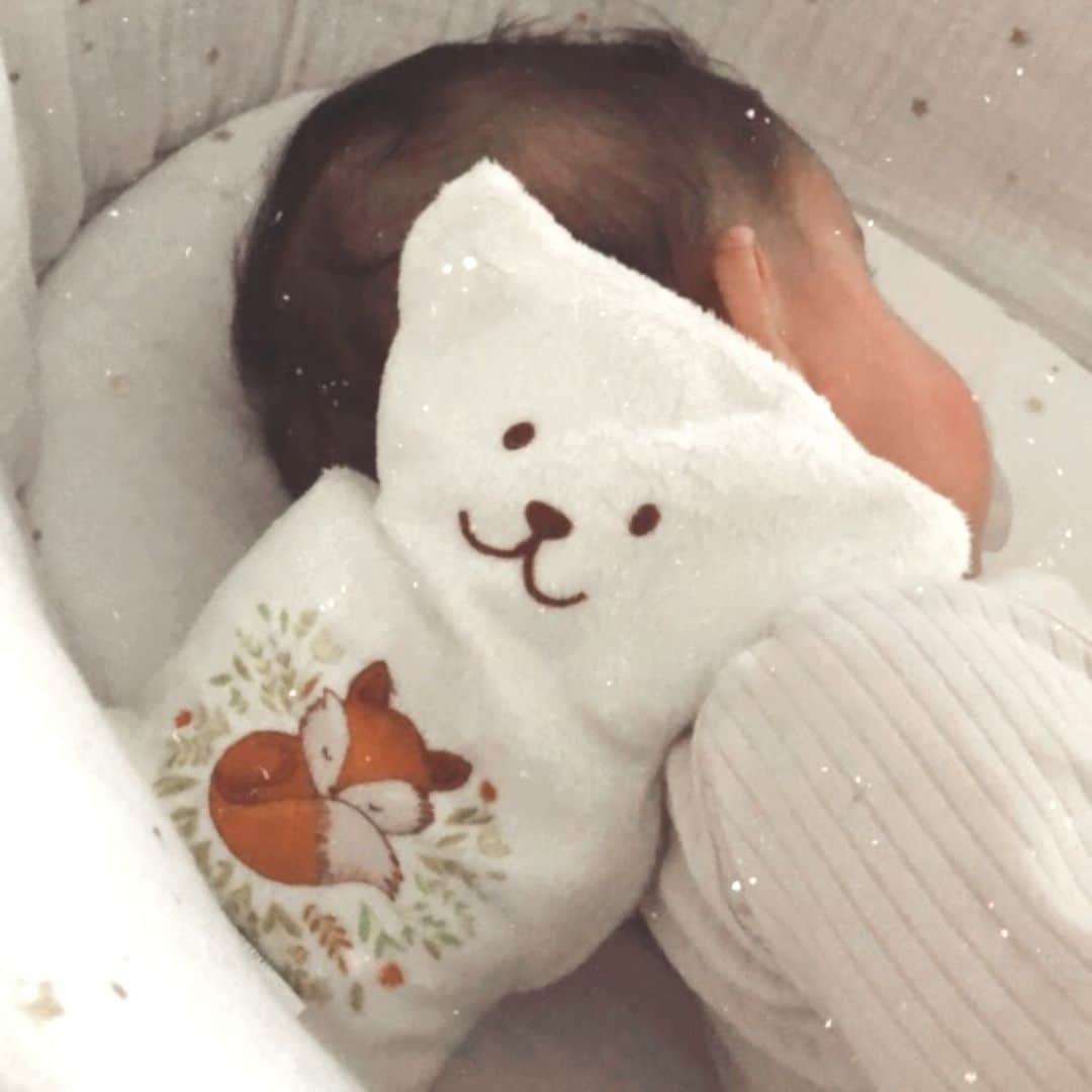 Ourson thérapeutique Renard / Béké-Bobo