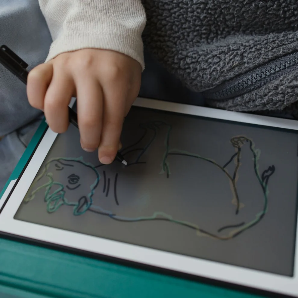 Kidydraw Mini « Animaux autour du monde » / Kidywolf – Image 10