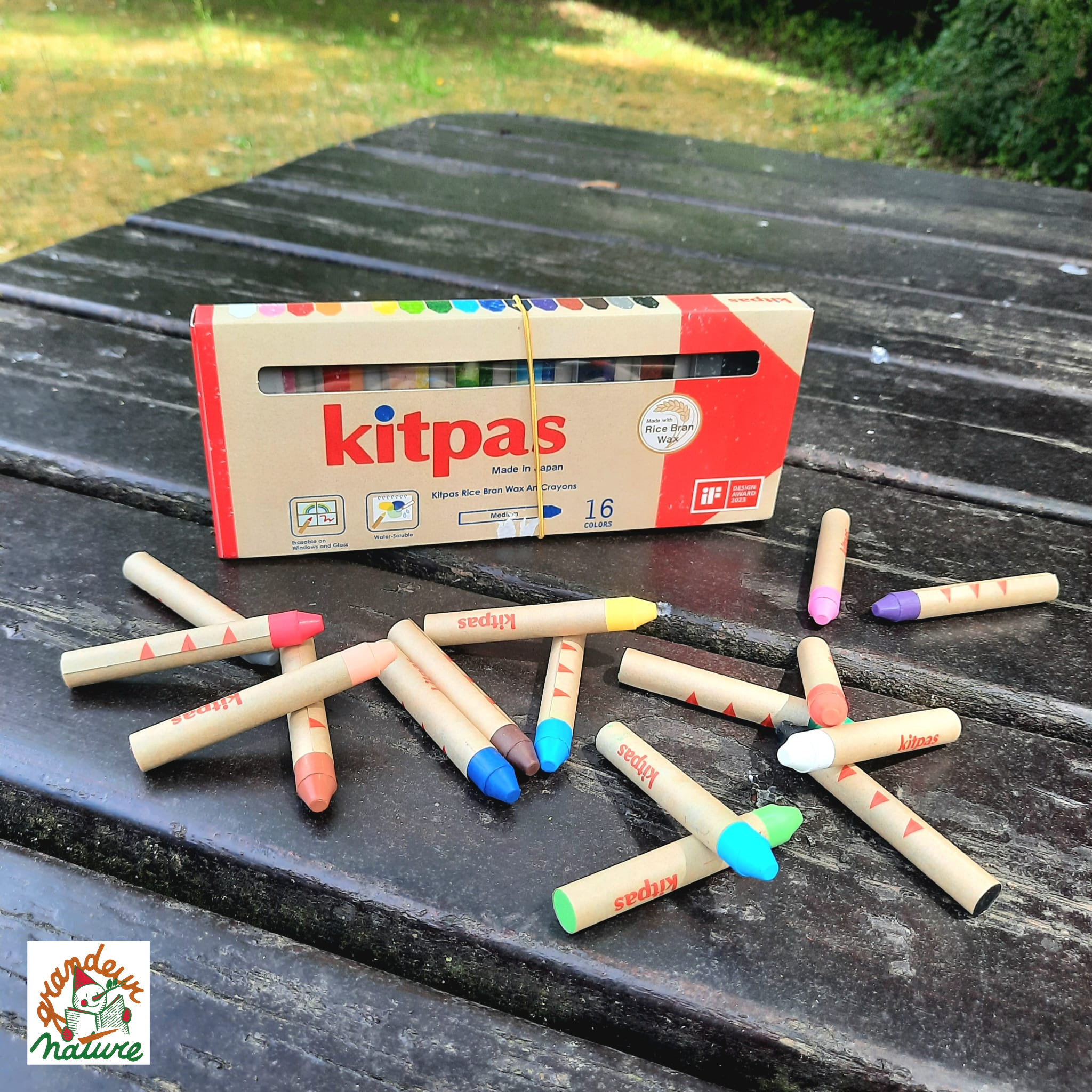 16 crayons Rice Bran Wax Art / Kitpas