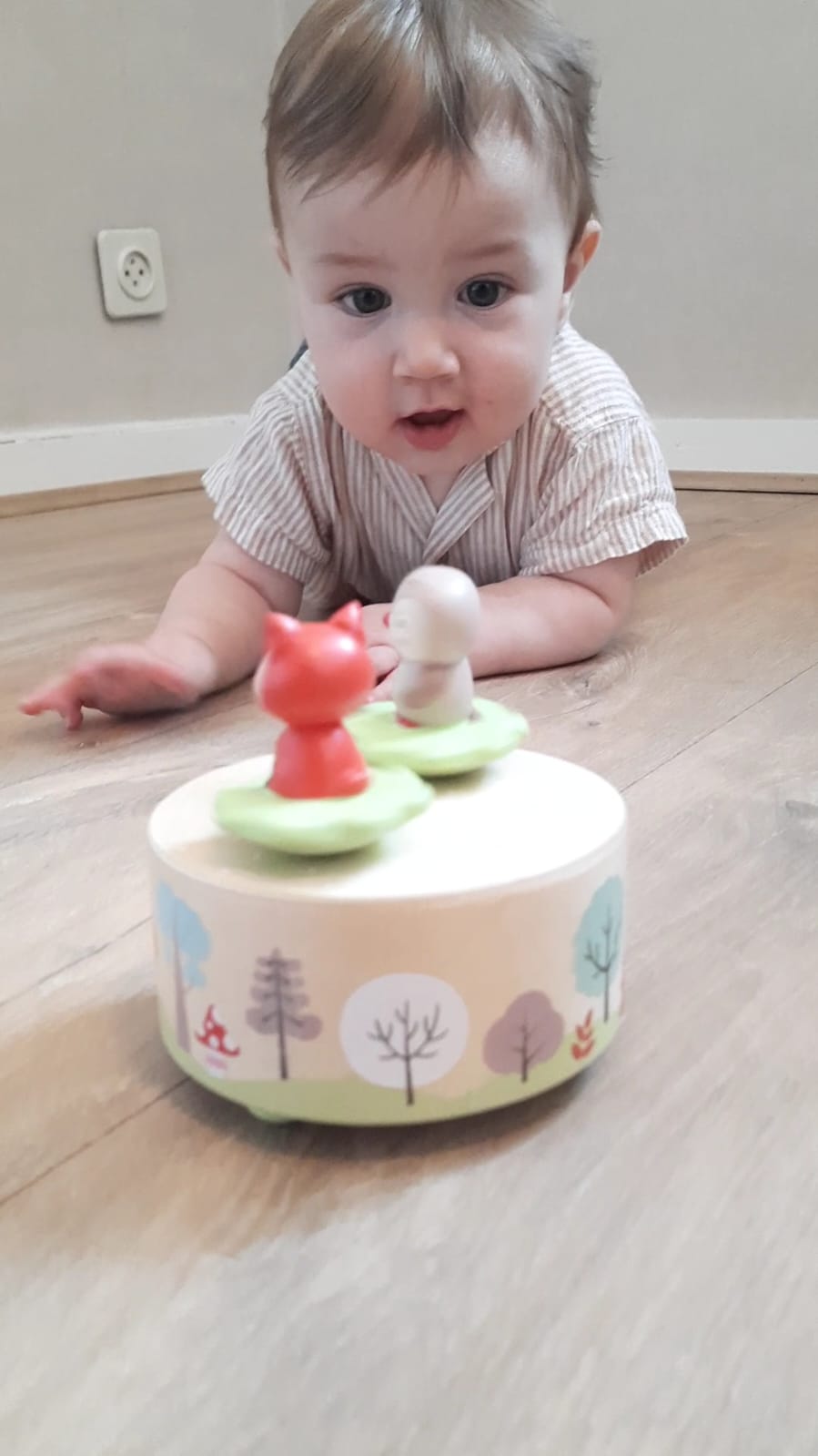 Boite à musique magnétique - Mélodie des bois / Djeco – Image 2