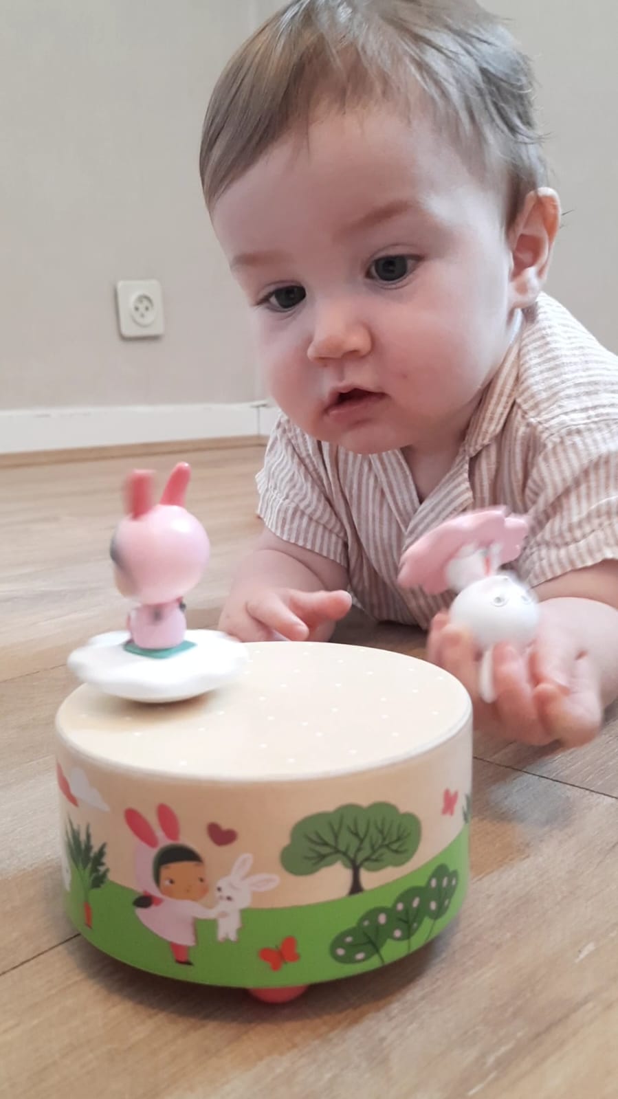 Boite à musique magnétique - Mélodie du jardin / Djeco – Image 2