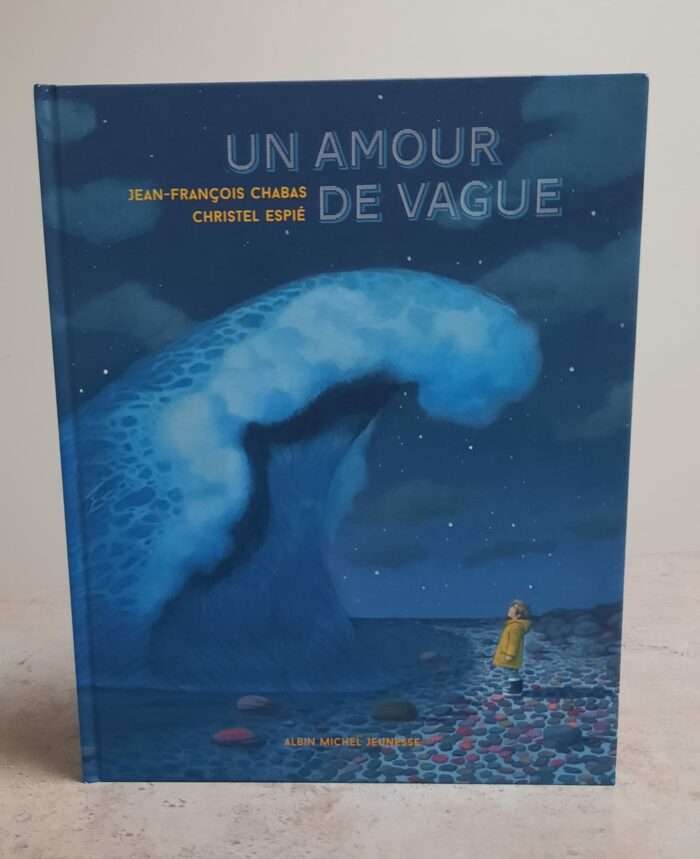 Un amour de vague / Albin Michel