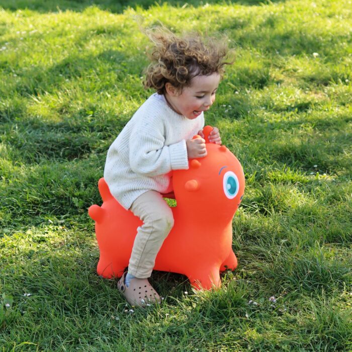 Sunny Jumper / Djeco