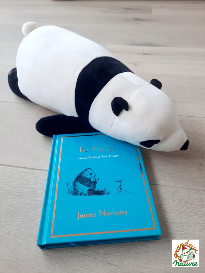 DUO Le voyage - Grand Panda et Petit Dragon