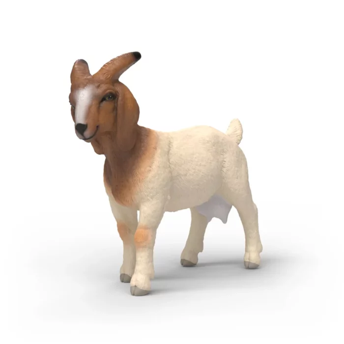 Chèvre Boer / Schleich