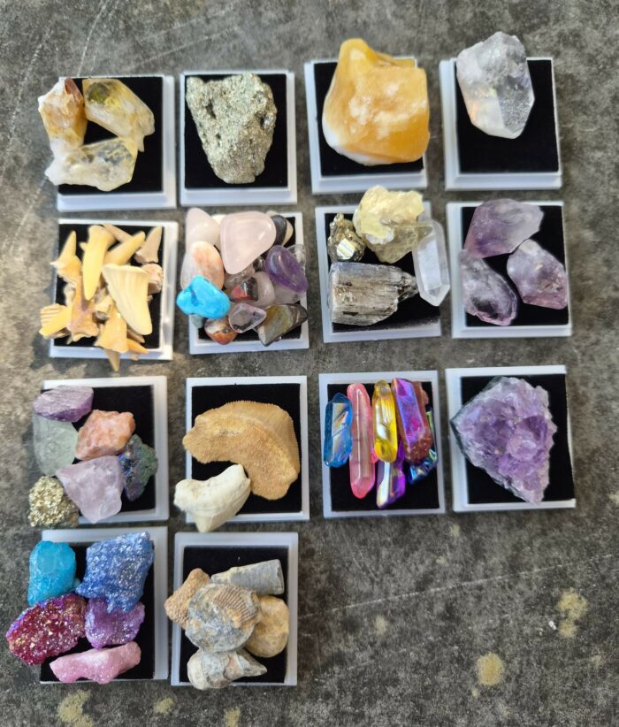 Minéraux en boite / British Fossils