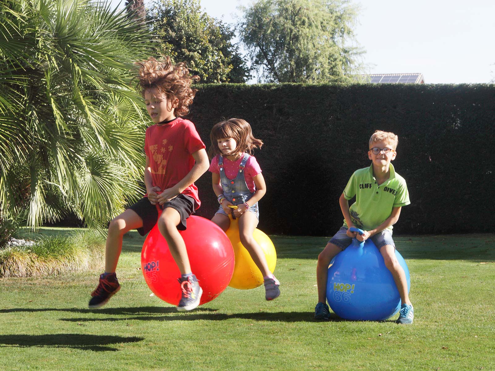 Ballon sauteur Hop 66 / Gymnic – Image 3