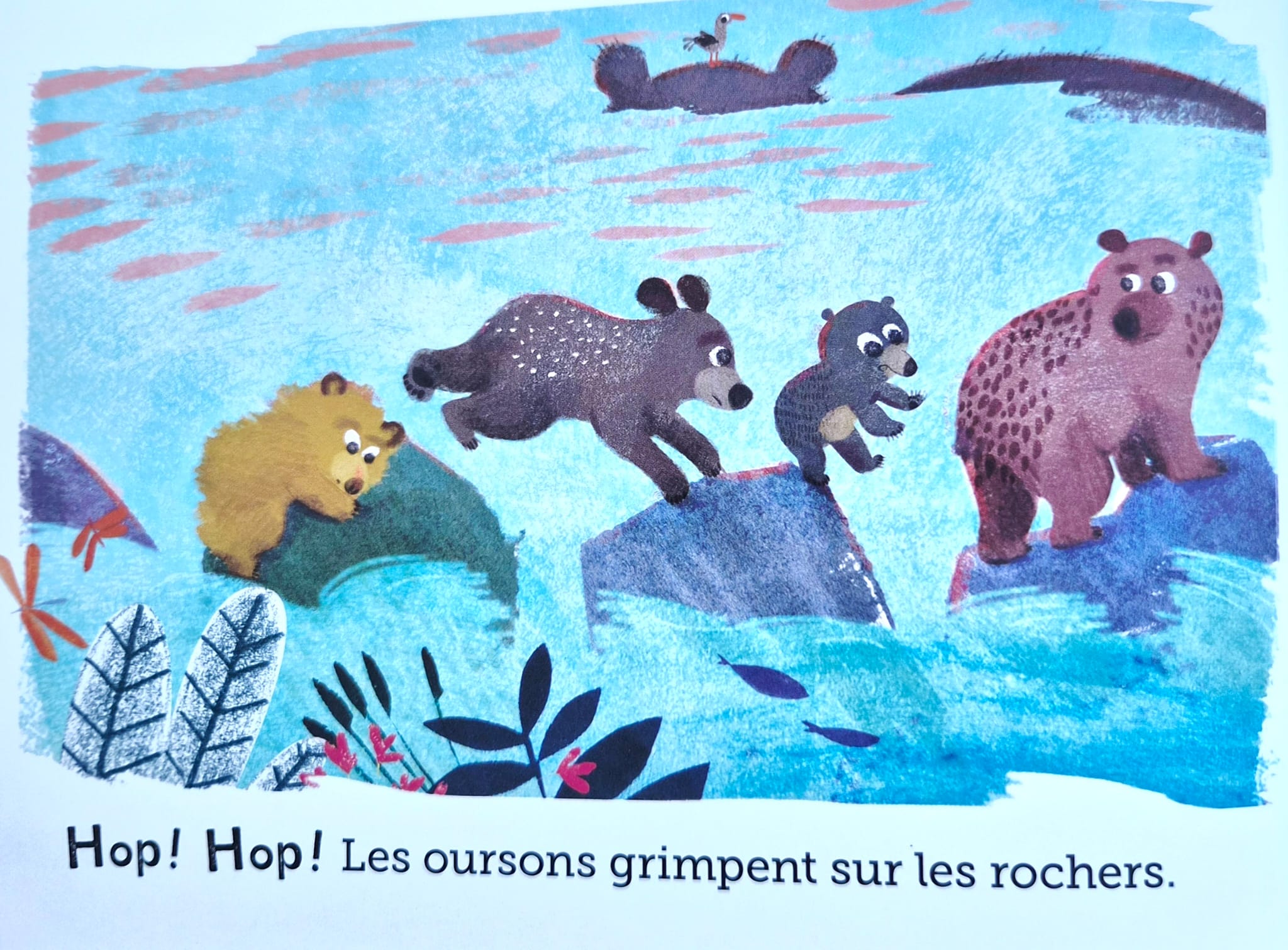 Le Grozours arrive ! / Album Albin Michel – Image 4