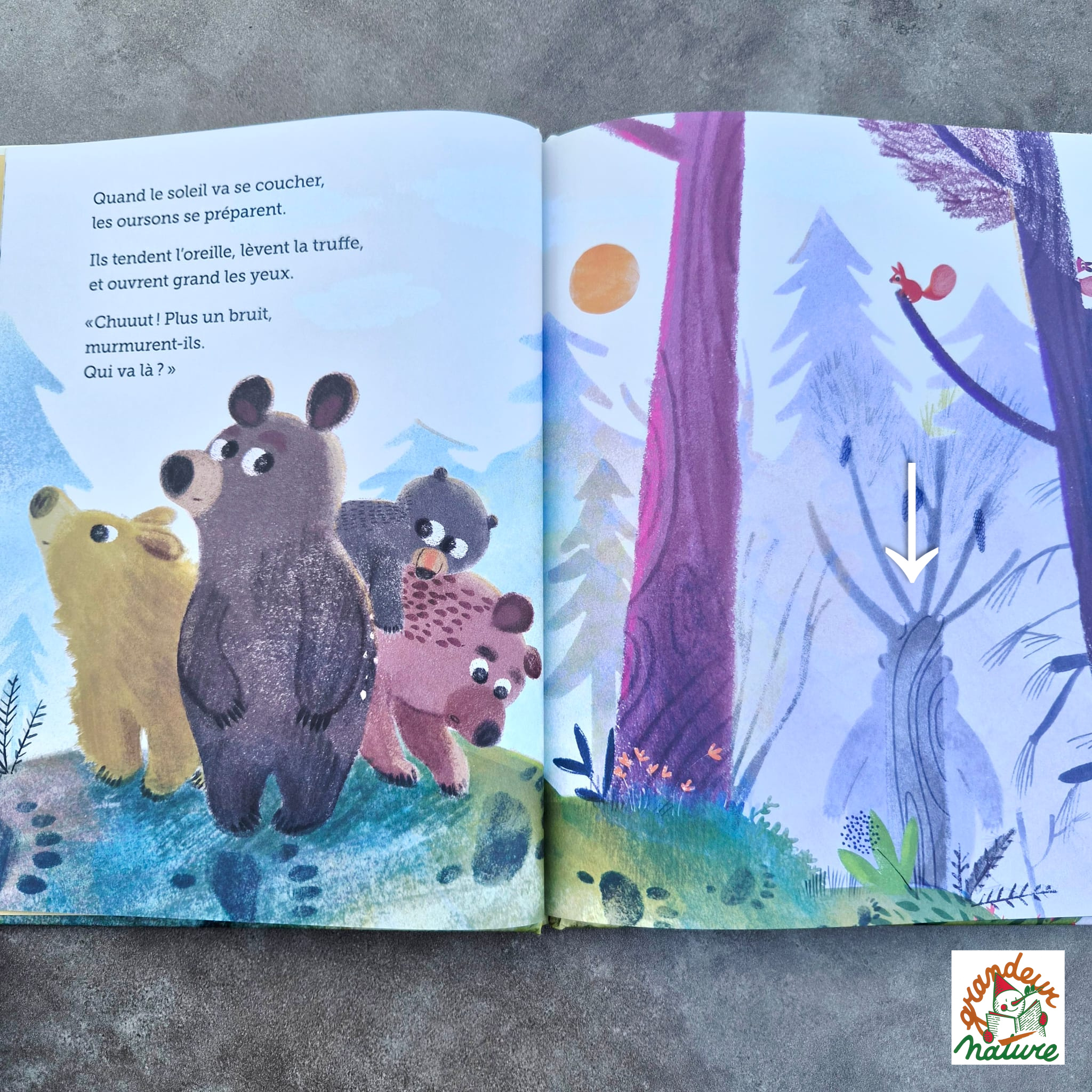 Le Grozours arrive ! / Album Albin Michel – Image 3