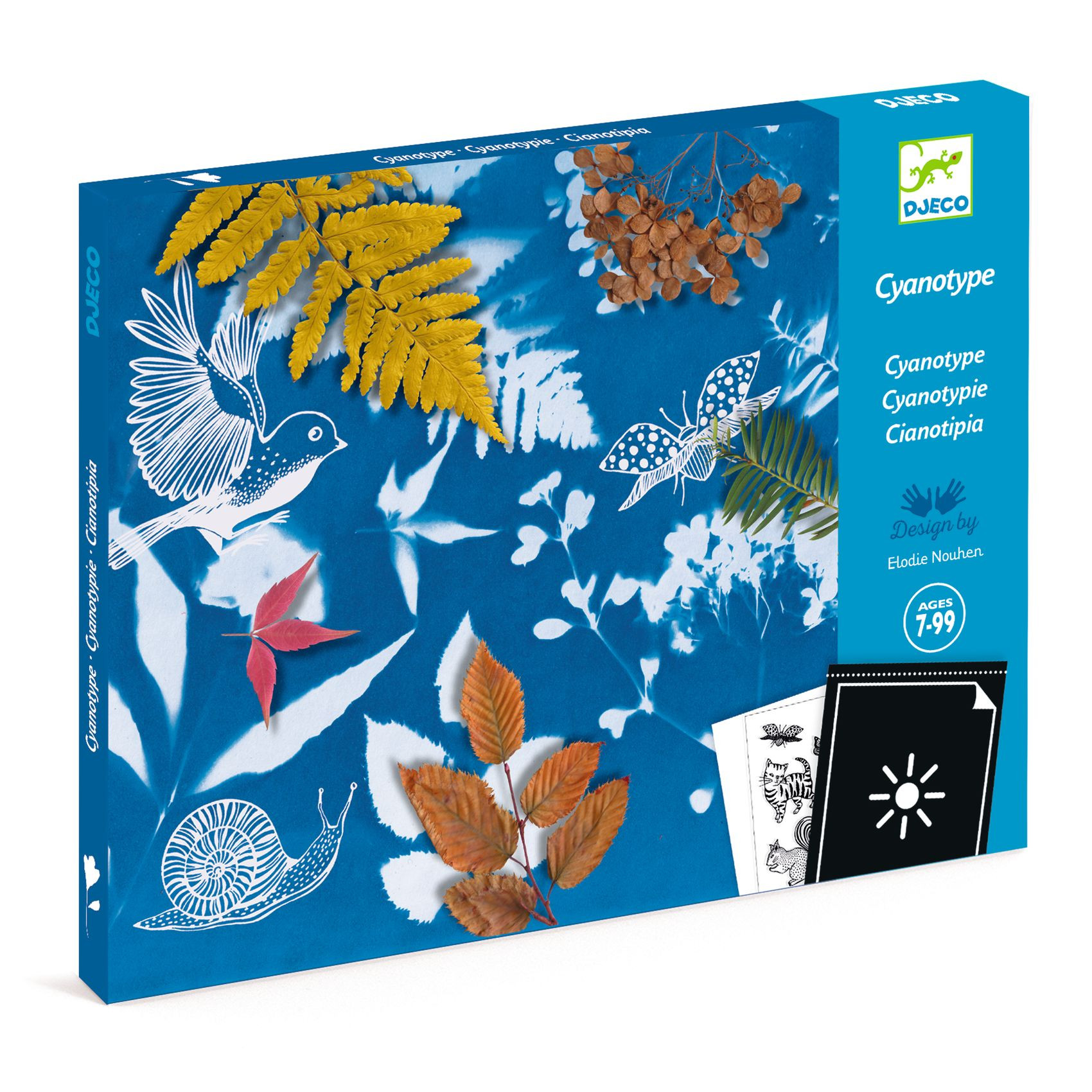Starter Kit - Cyanotype / Djeco