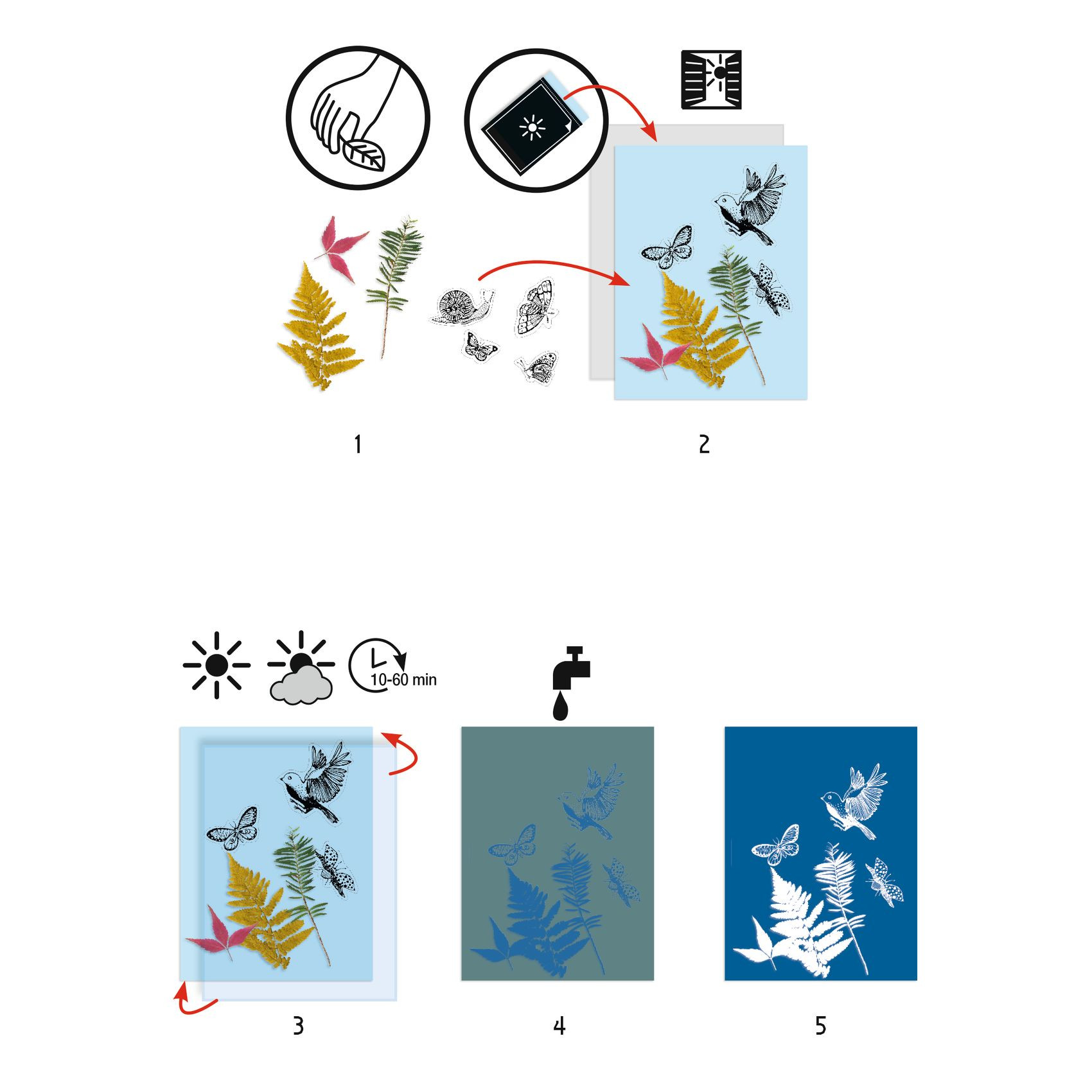 Starter Kit - Cyanotype / Djeco – Image 3