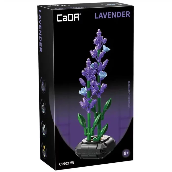 Lavender / Cada