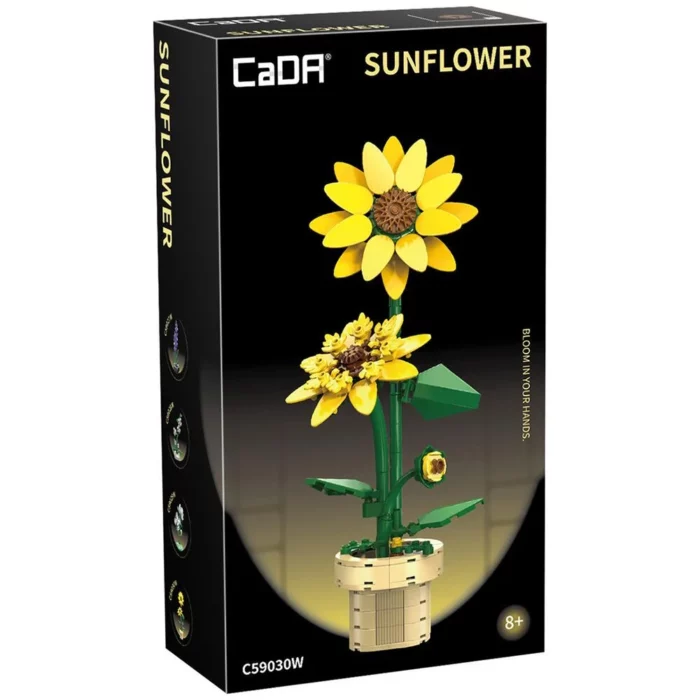 Tournesol / Cada