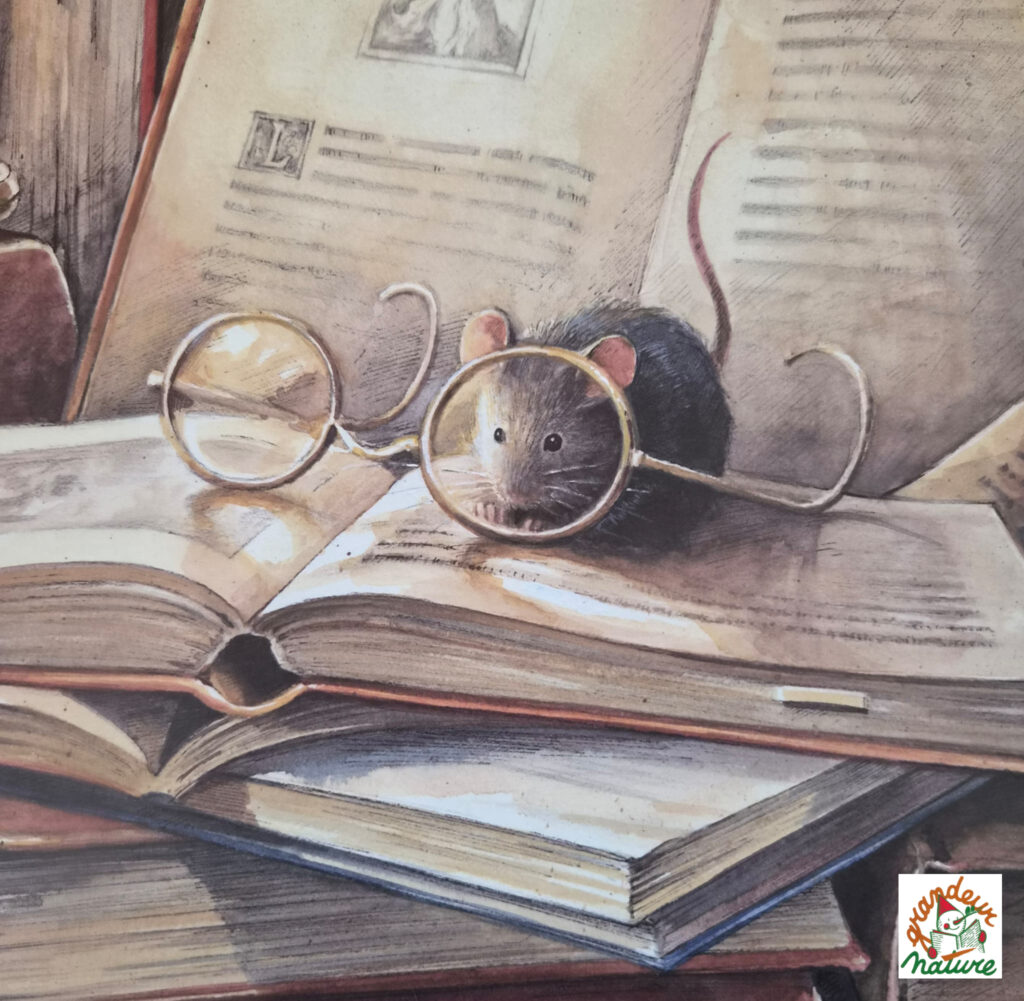 Lindbergh (La fabuleuse aventure d'une souris volante) / Djeco – Image 2