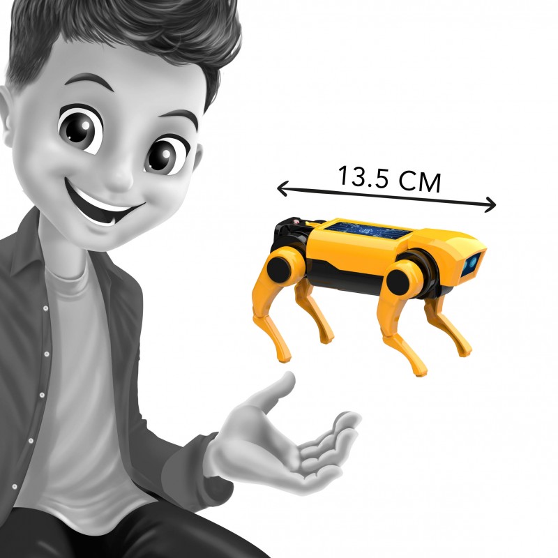 Robot Chien RC - Mini lab / Buki – Image 7