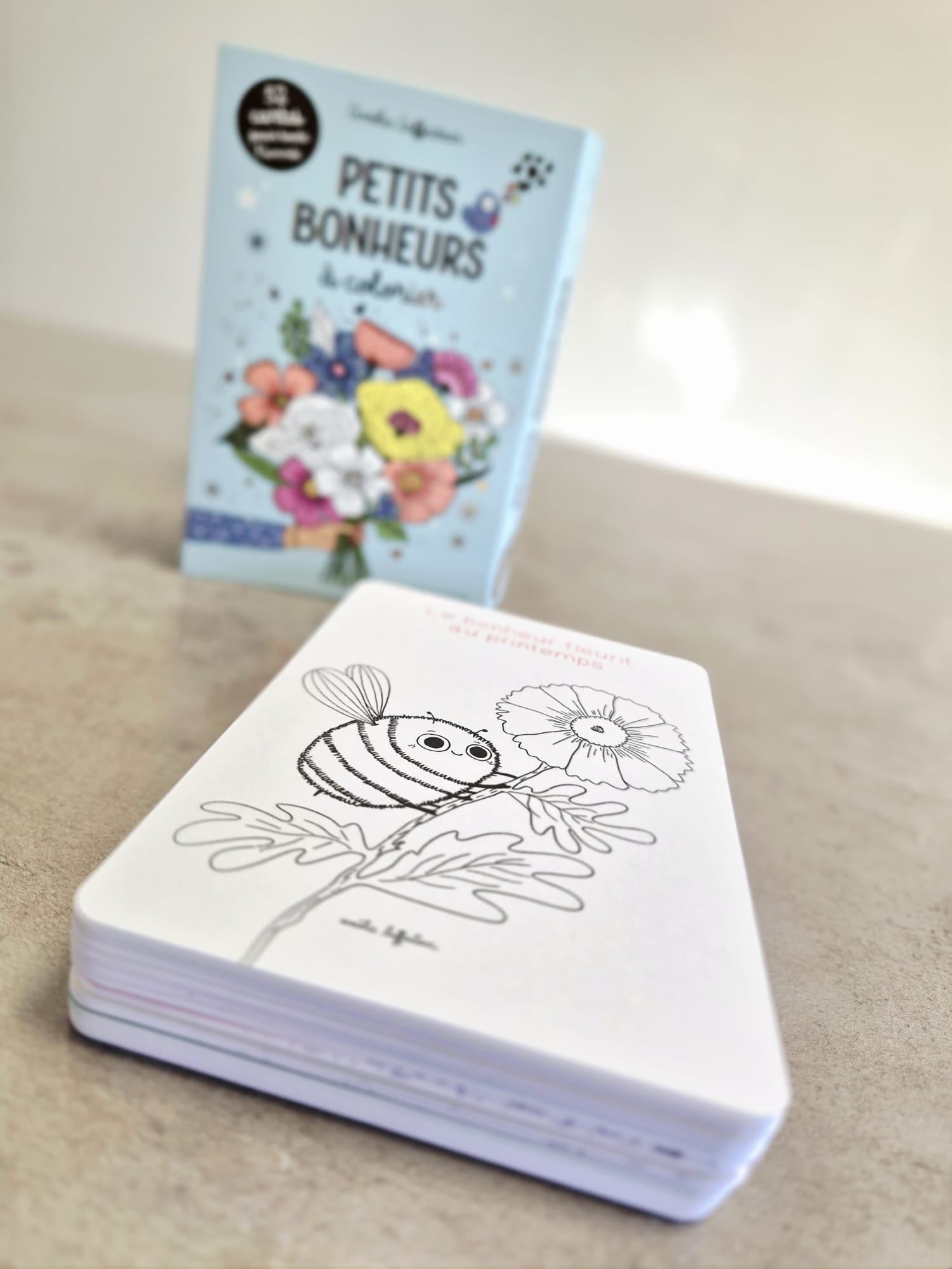 Petits bonheurs à colorier - 52 cartes à colorier / Larousse – Image 2