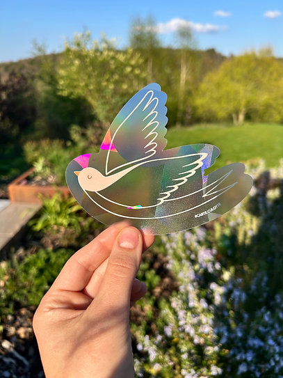 Sticker magique - Attrape soleil / Carte culotte